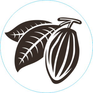 Sinete Modelo Cacau 08